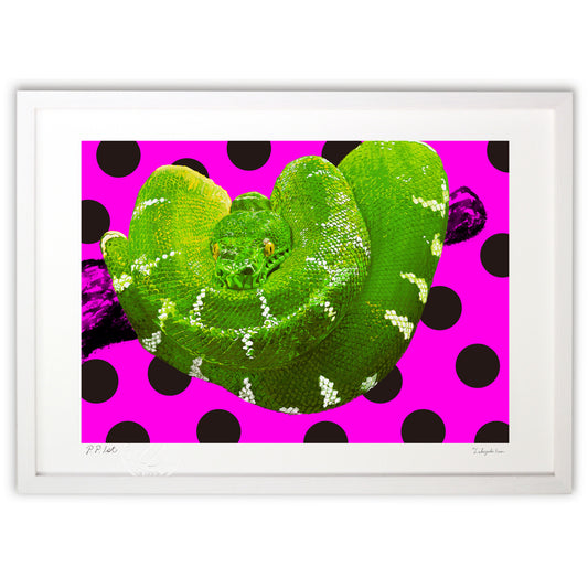 グリーンスネーク－巻き巻き