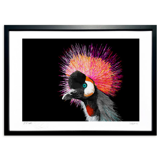 ハイイロカンムリヅル－頬を染めて