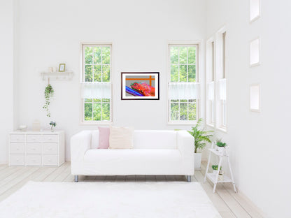 イグアナ－今日はカラフルな気持ち