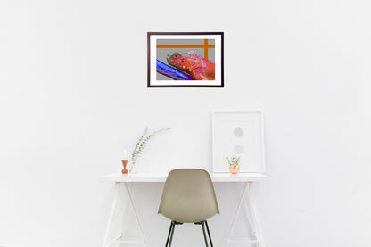 イグアナ－今日はカラフルな気持ち