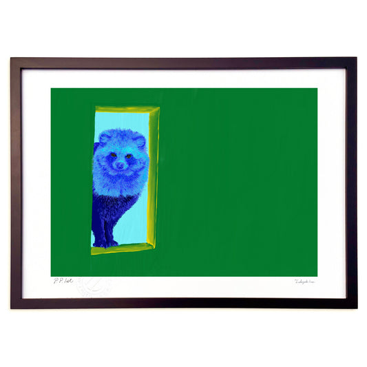 ホンドタヌキ－のぞきこむ