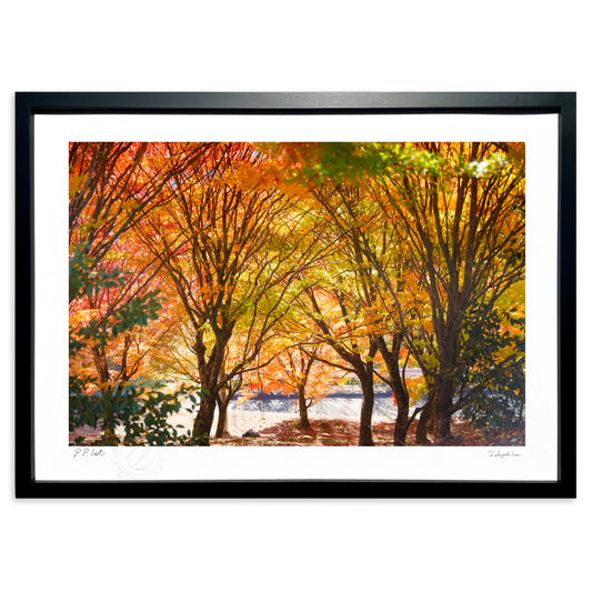 紅葉のトンネル