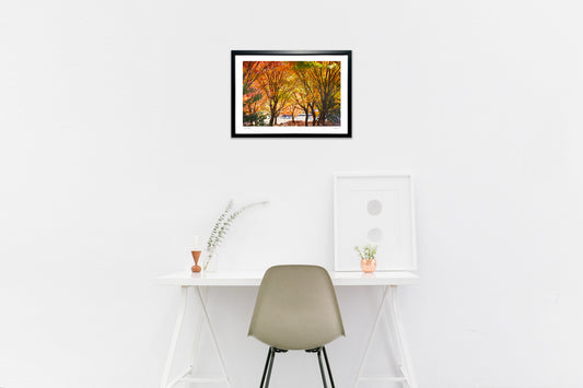 紅葉のトンネル