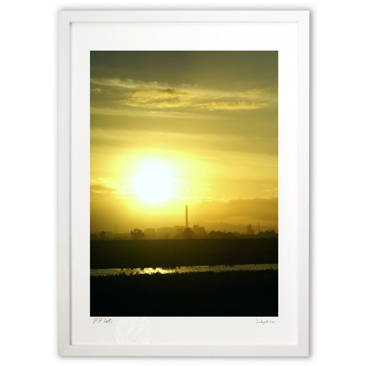 晩夏のオレンジ