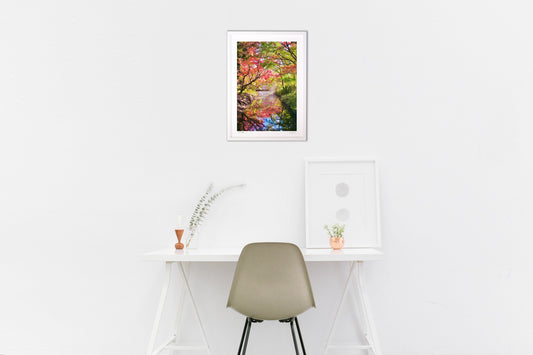 紅葉のリフレクション