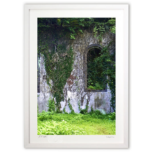 廃墟・神秘的な美しさ