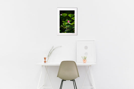 残暑の風に揺られて