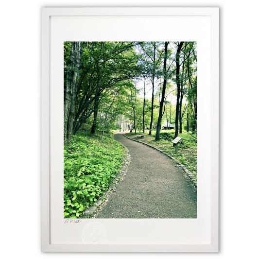 森の小径（縦）