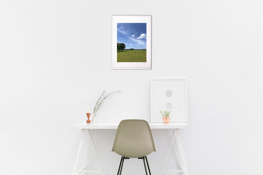 広々とした公園