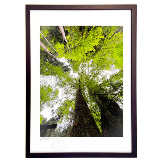 空へのびる（縦）