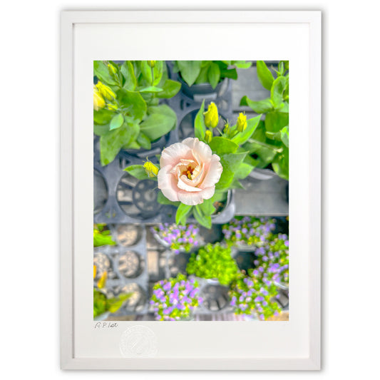 視点を変える（縦）