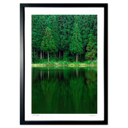 緑のシンメトリー