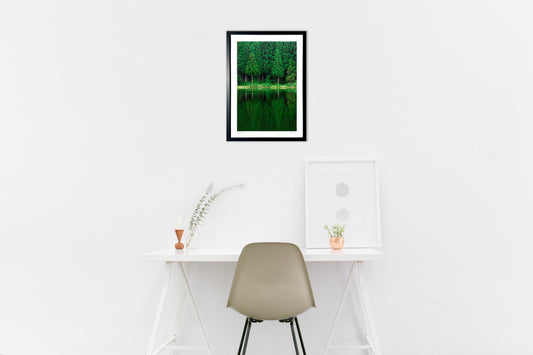 緑のシンメトリー