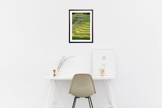 棚田に咲く彼岸花