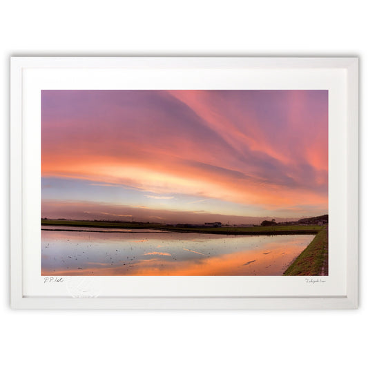 世界が茜色になった朝　2