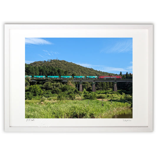 山の鉄橋を渡る貨物列車