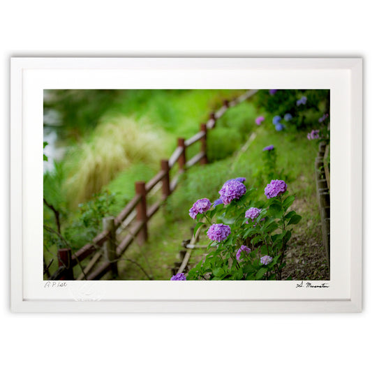 或る梅雨空の日に