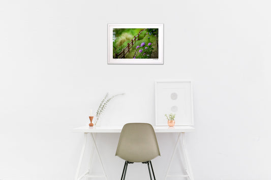 或る梅雨空の日に