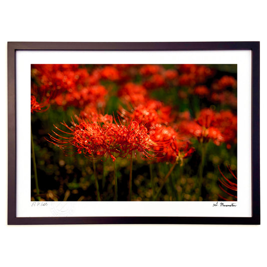 夕暮れの光と影2