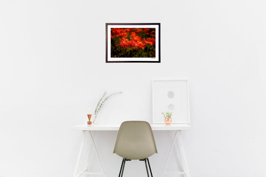 夕暮れの光と影2