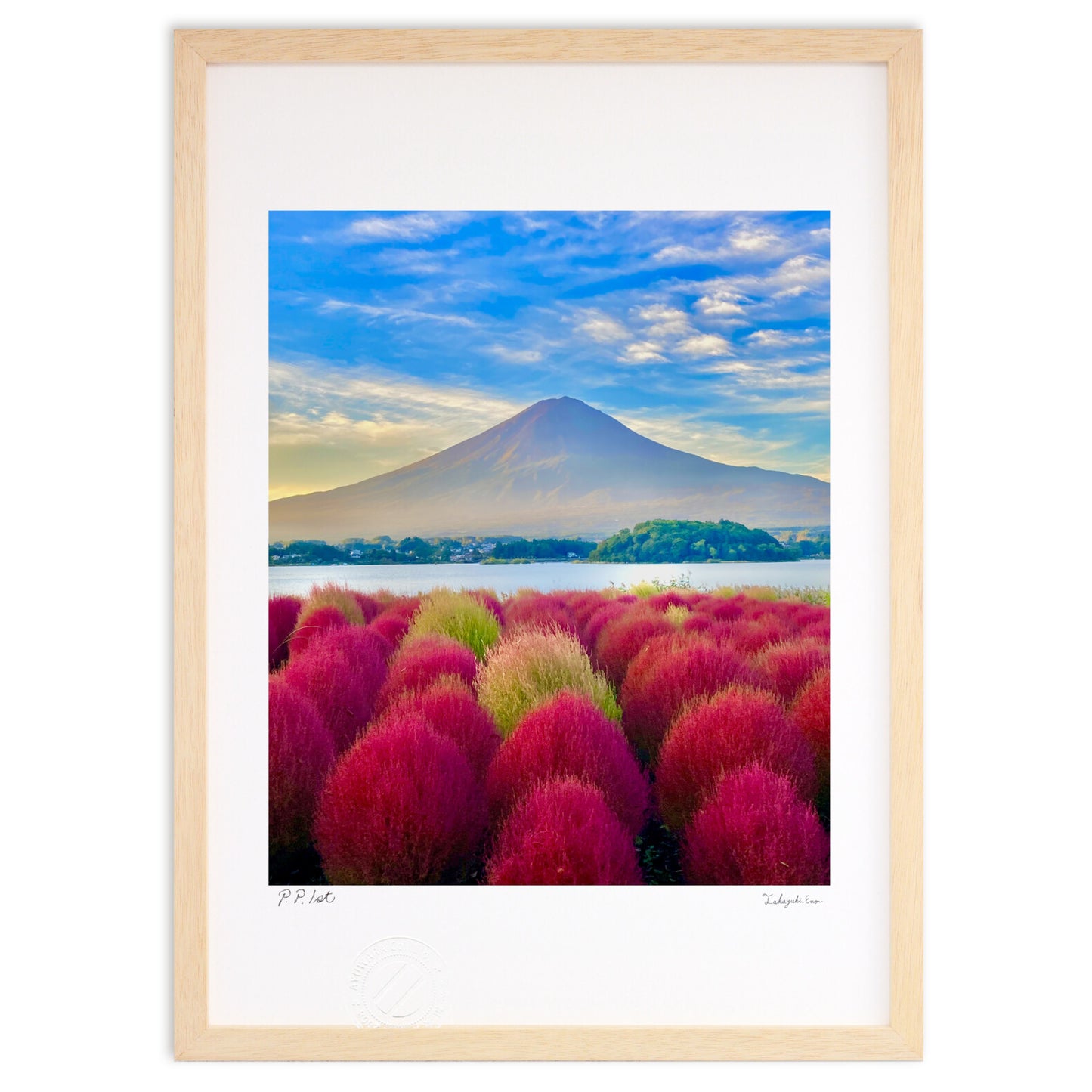 富士山と赤いコキア