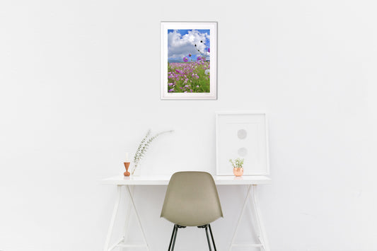 高原のコスモス2