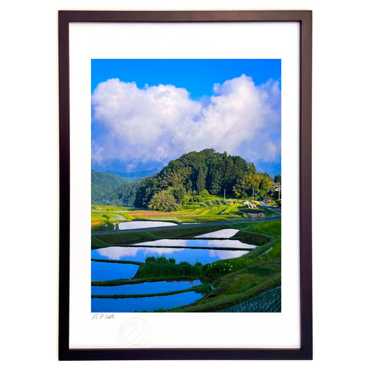 山王寺棚田の風景