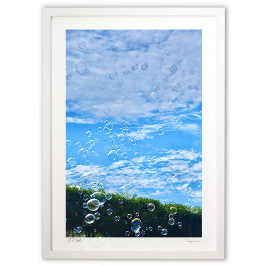 秋空に舞い上がるシャボン玉