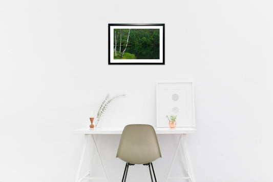 白樺の林と静かな御射鹿池