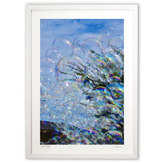 虹色に輝くシャボン玉