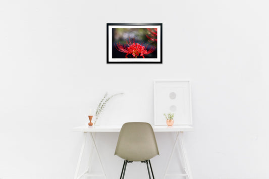 明日香村　彼岸花