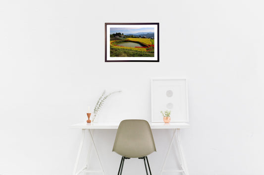 伏見のため池　彼岸花