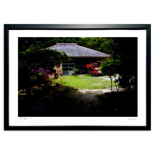 フクギ並木の古民家