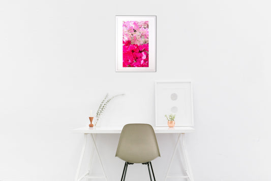 華やかなブーゲンビリア