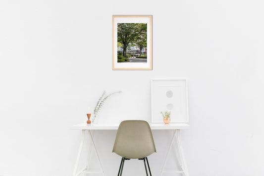 木のトンネルの向こう側