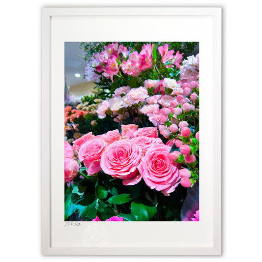 ピンクに埋め尽くされる