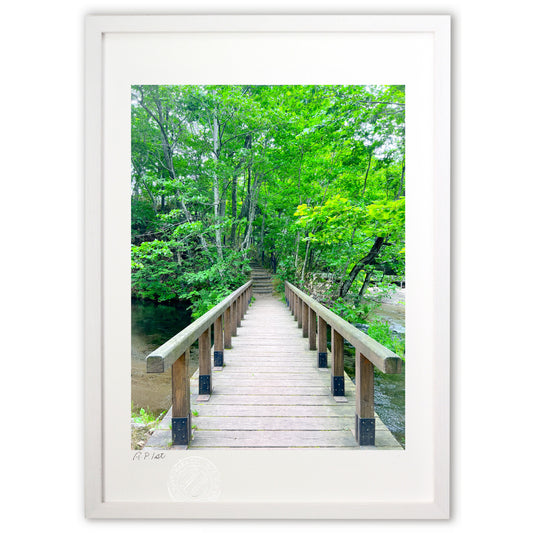 森林浴へ、ようこそ