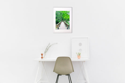 森林浴へ、ようこそ