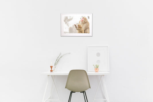 雪が降ってきた！