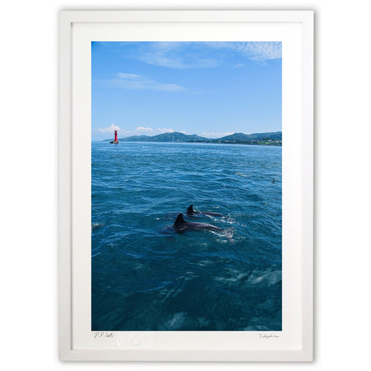 赤い灯台とつがいのイルカ