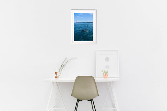 赤い灯台とつがいのイルカ