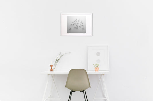 あざみの冠毛 2