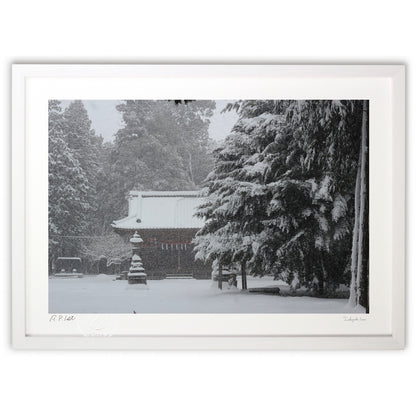 静かな雪と神社