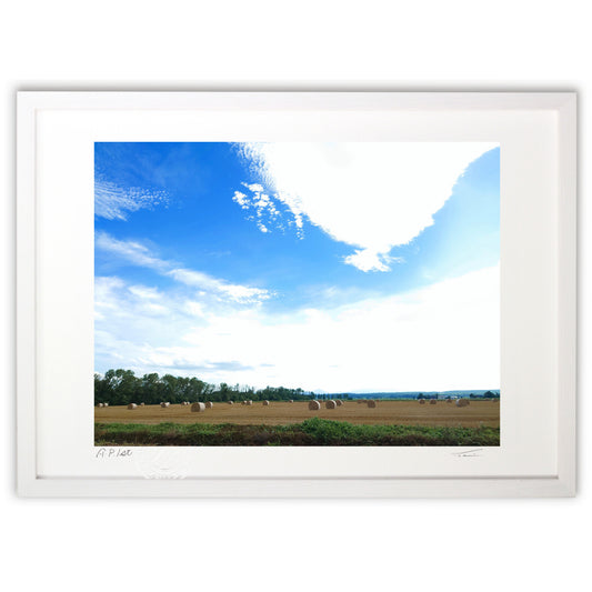 牧草ロールと蒼い空