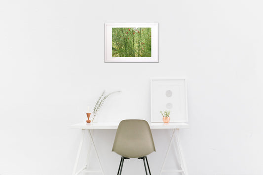 アスパラガスの森