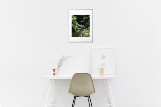 深い森を流れる