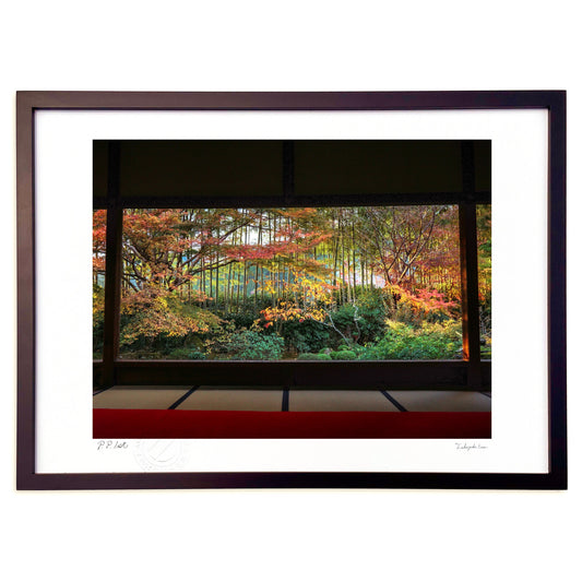 絵画のような秋の庭