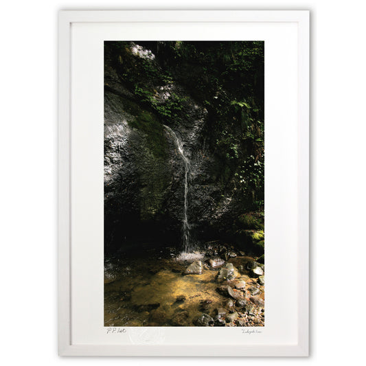 秘境の小さな滝