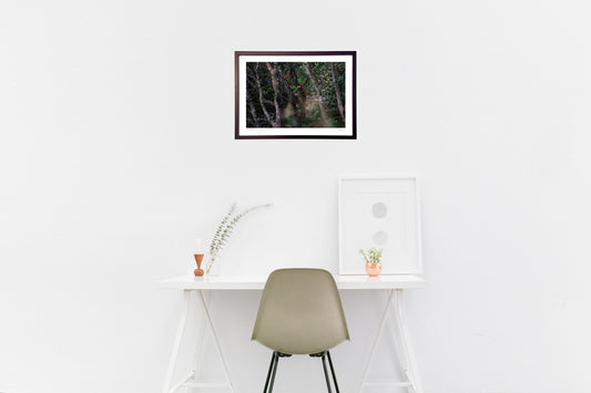 木もれ日とエゾリス