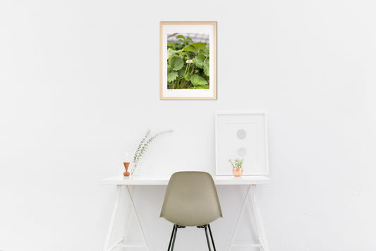 飛びたて！蜜蜂！